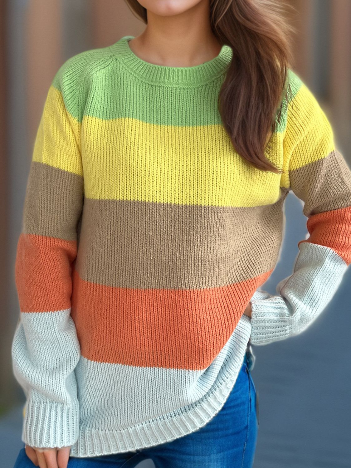 Color Block Round Neck Long Sleeve Sweater