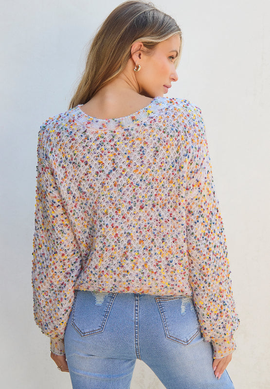 Confetti Round Neck Long Sleeve Sweater